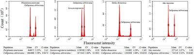 Genome Size of 17 Species From Caelifera (Orthoptera) and Determination of Internal Standards With Very Large Genome Size in Insecta